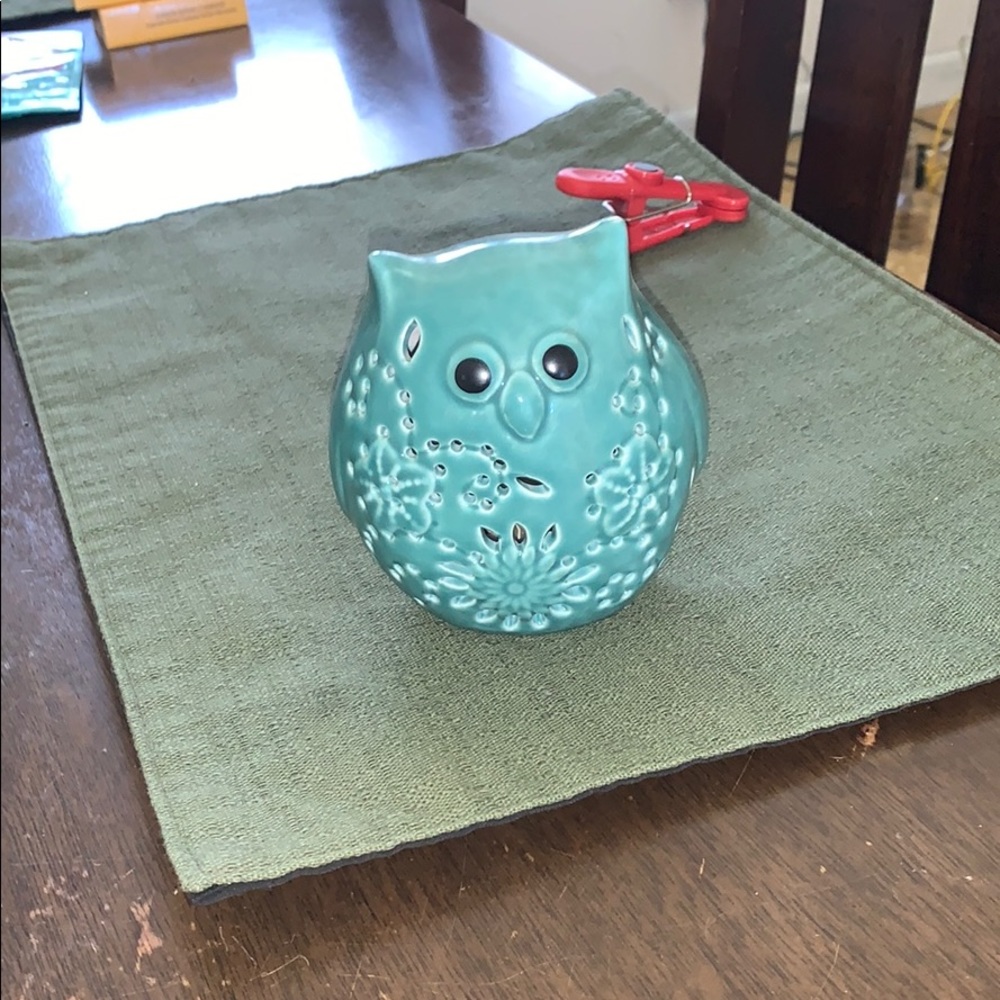 Cute light up owl just needs batteries!